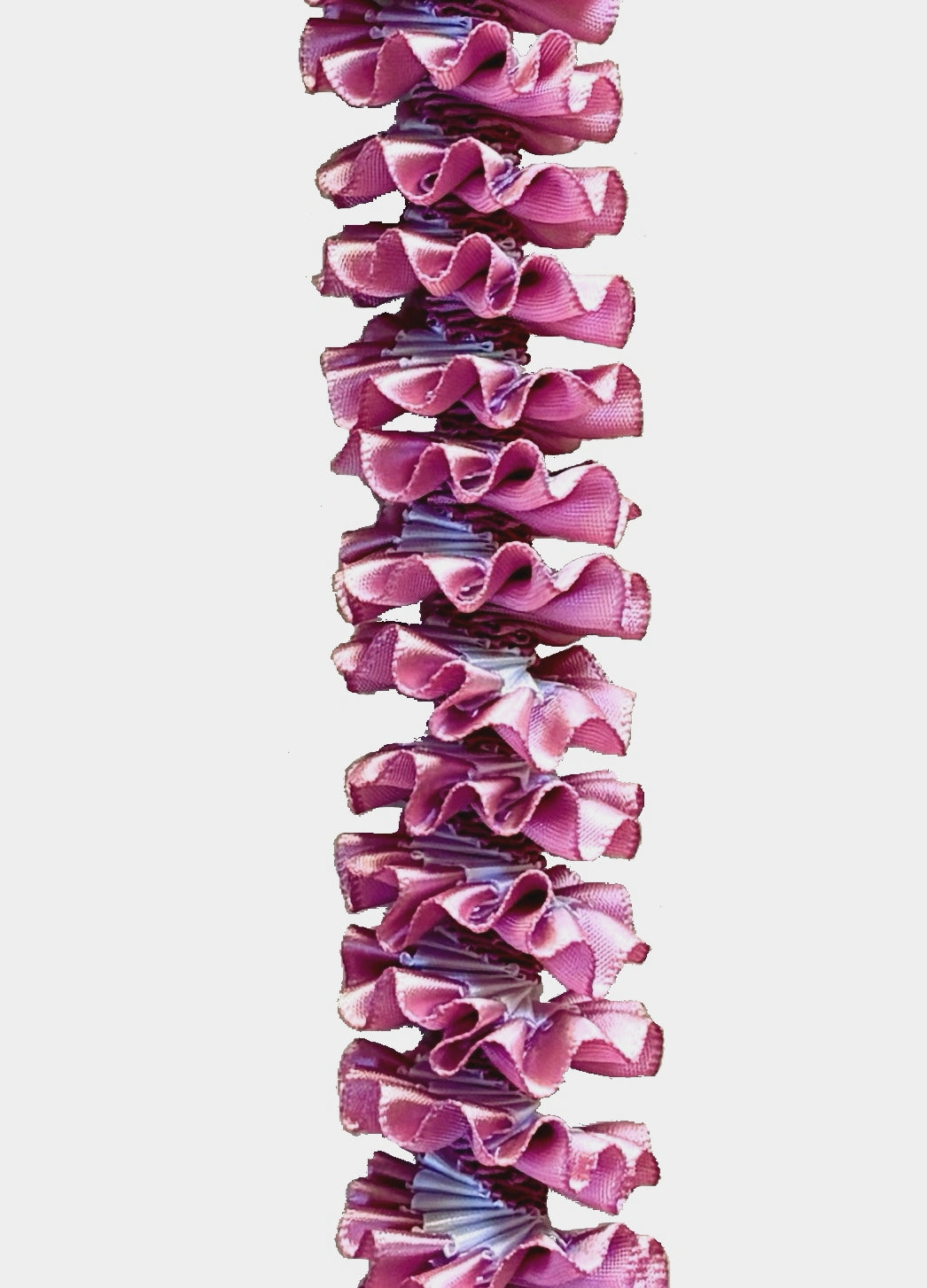 Rose and White Plumeria Ribbon Lei