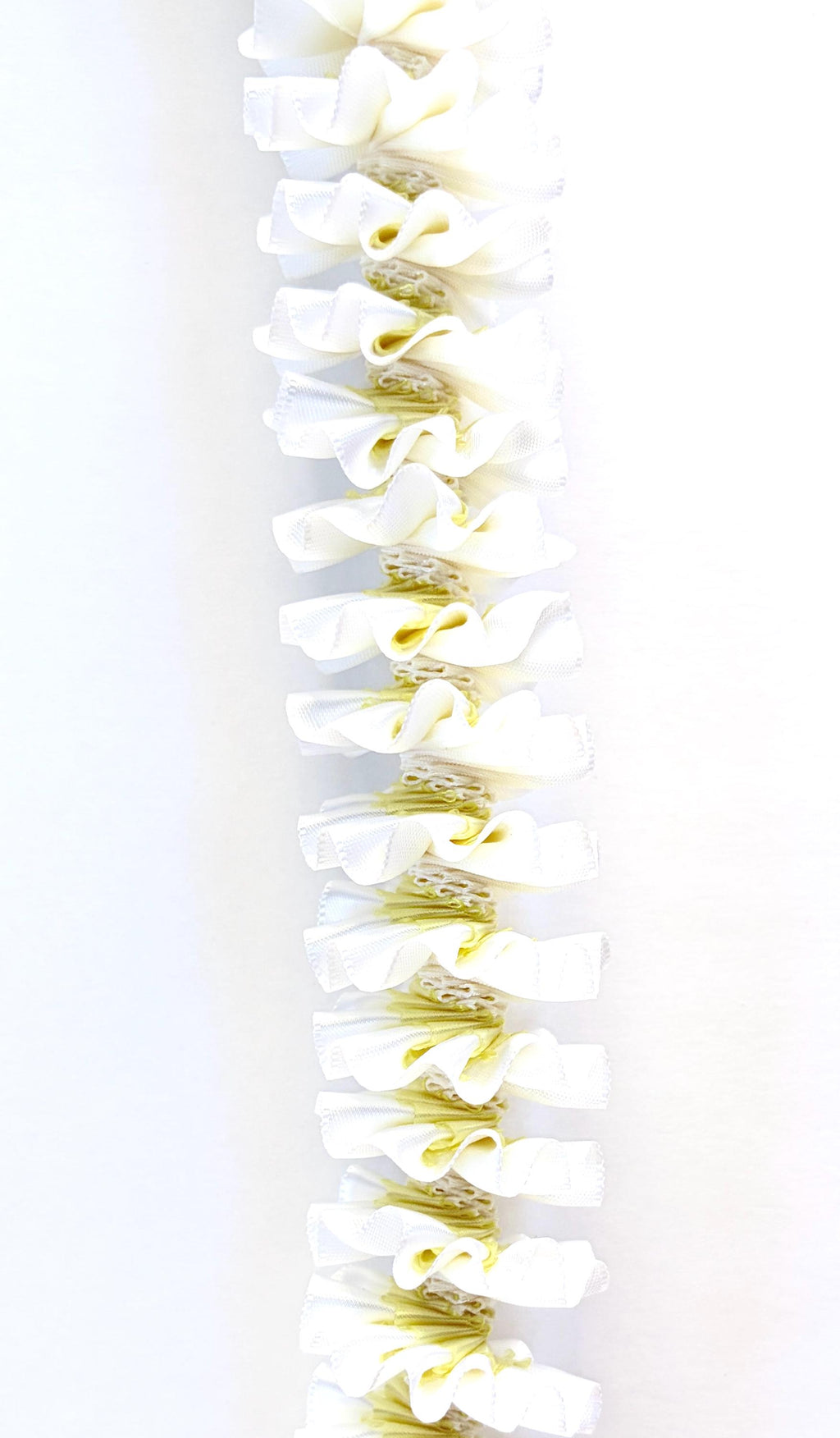 White and Light Yellow Plumeria Ribbon Lei
