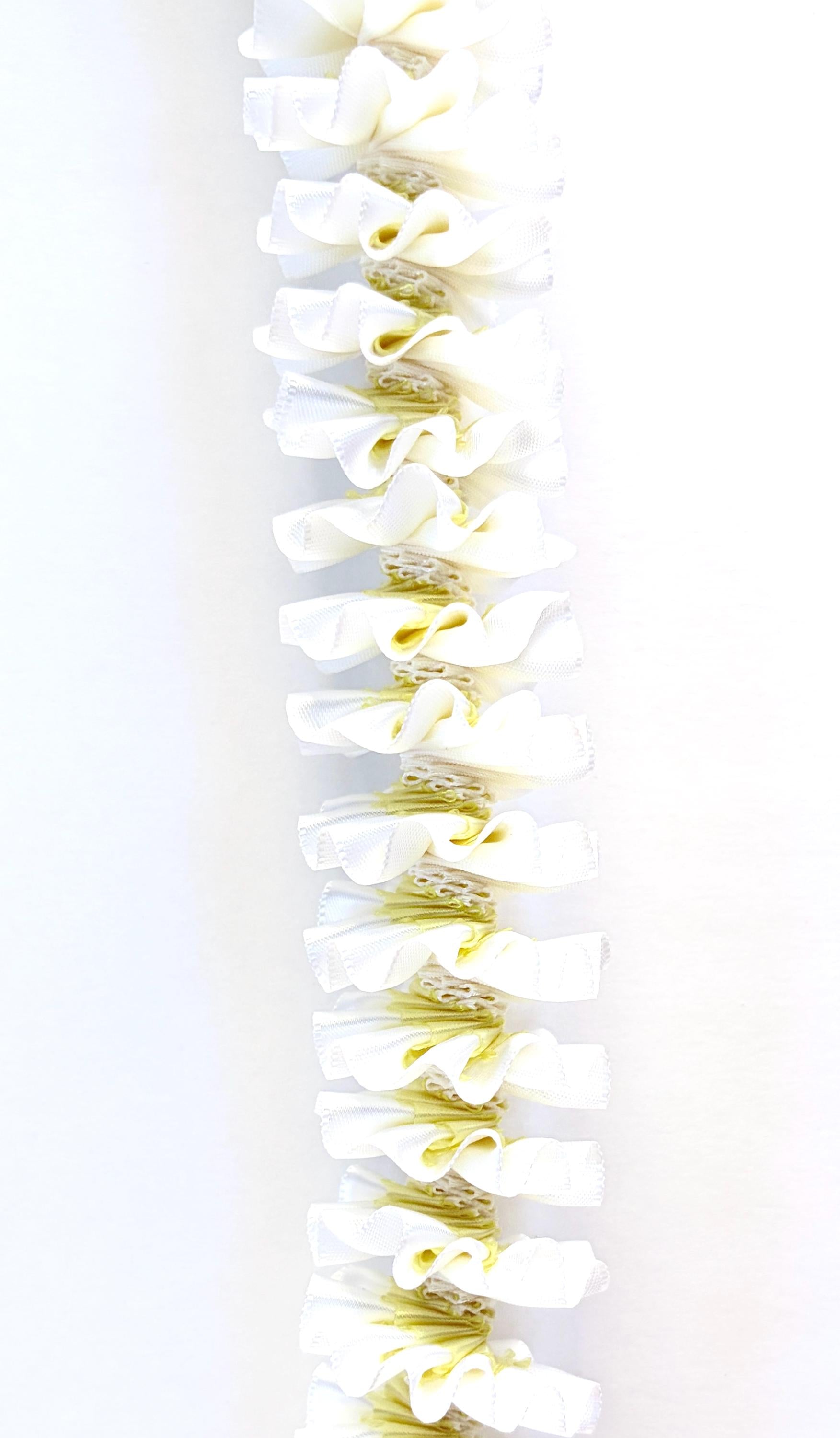 White and Light Yellow Plumeria Ribbon Lei