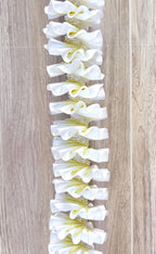 White and Light Yellow Plumeria Ribbon Lei