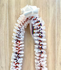White and Rainbow Grosgrain Plumeria Ribbon Lei