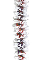 White and Rainbow Grosgrain Plumeria Ribbon Lei